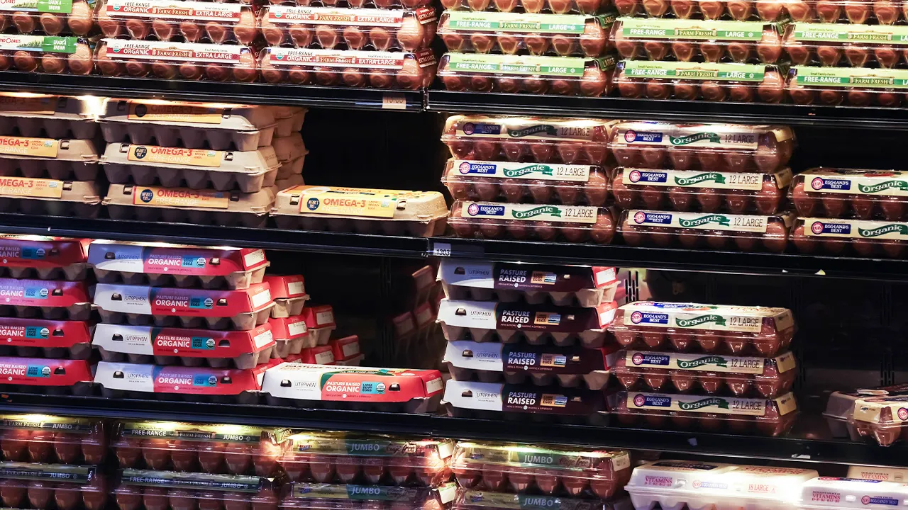 Justice Department settles with top US egg producers over alleged price manipulation