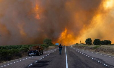 How to Help the Victims of Europe’s Deadly Wildfires