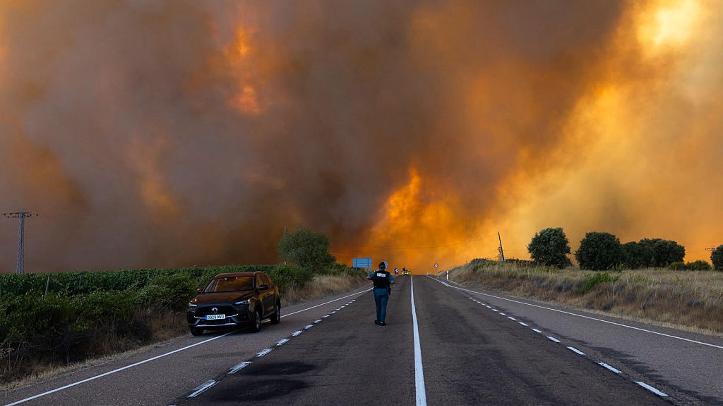 How to Help the Victims of Europe’s Deadly Wildfires