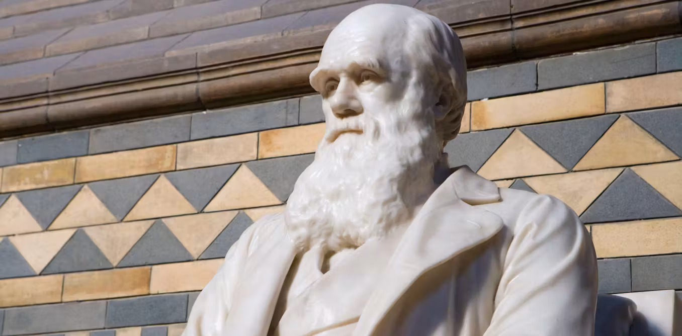 biologists are returning to an older theory to explain anomalies in evolution