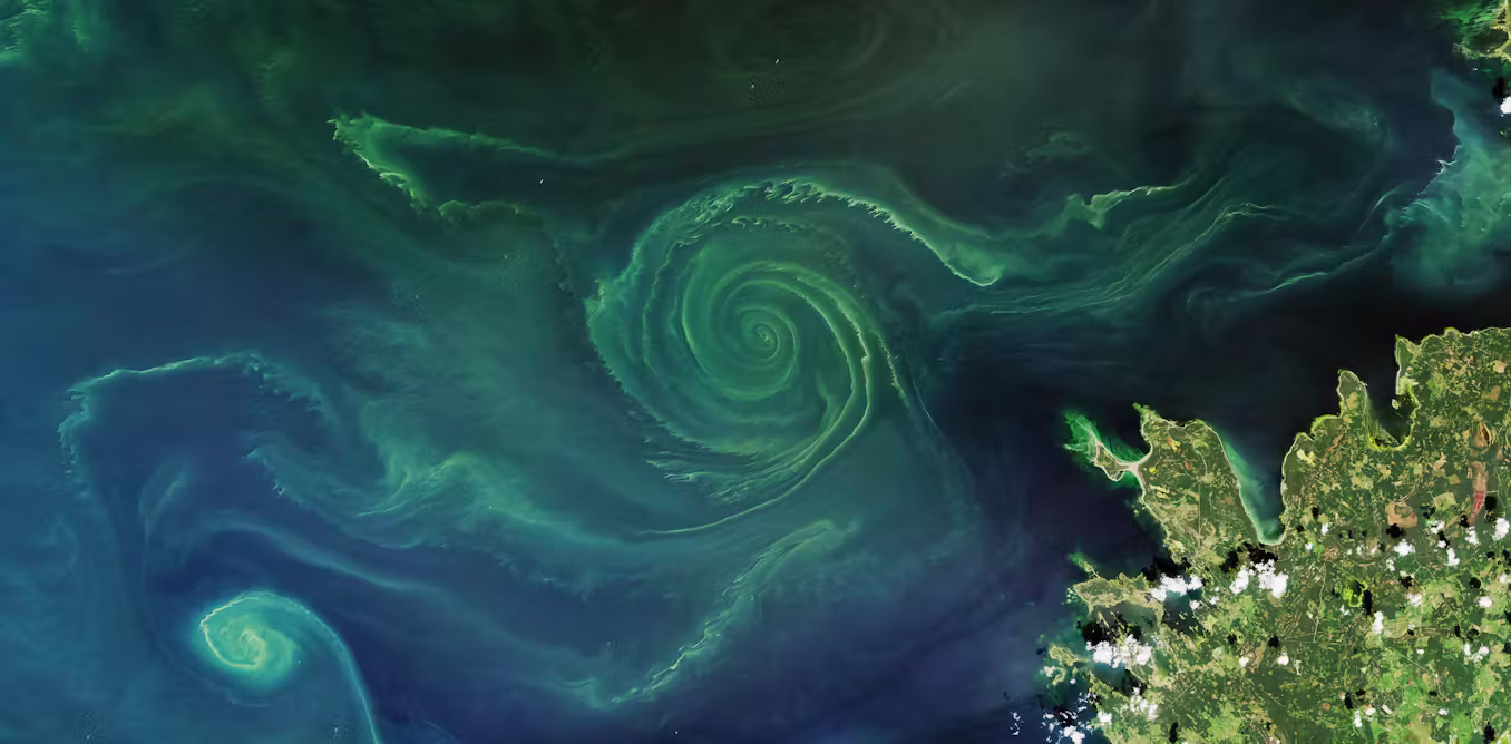 here’s how they could be used on dying seas and lakes