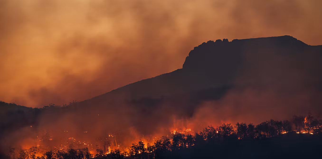 what can the UK and other nations learn from Australia’s world-leading fire response systems?