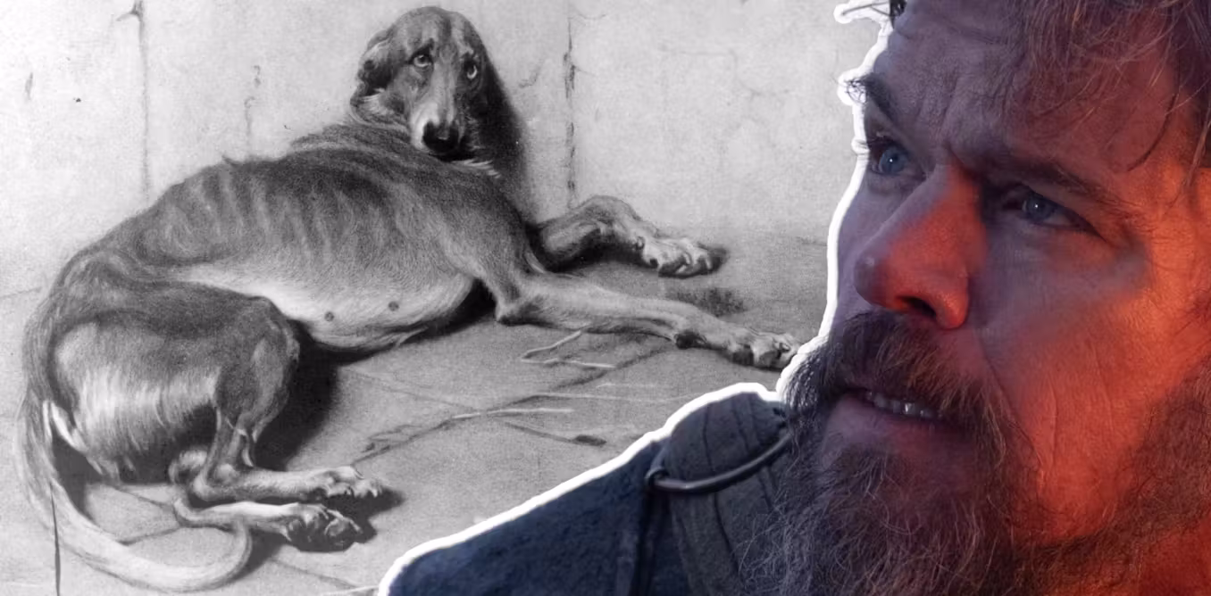 Argos reflects the deep human-animal bonds of ancient Greece