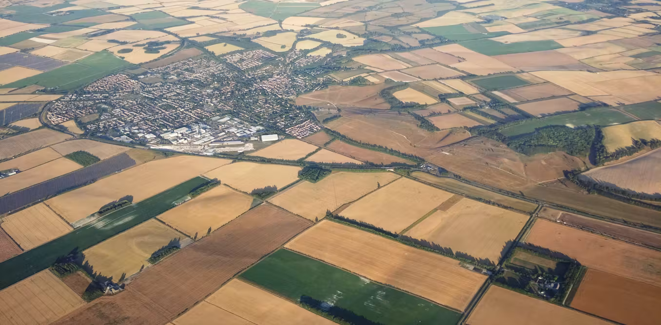 crop harvests at severe risk of collapse