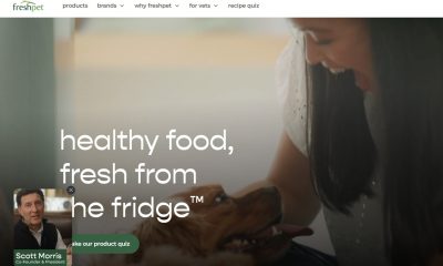 Freshpet Stock Jumps 8% Today as Investors Eye Rebound, Analysts