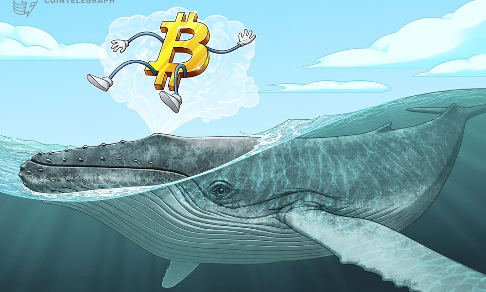 Bitcoin OG selling eases as dormant BTC movement hits 4-year low: Thorn