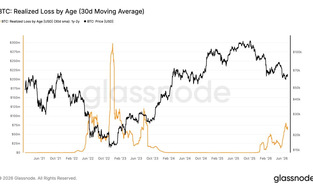 Bitcoin Realized Losses Join A Growing Number Of Early BTC Price Bottom Signals