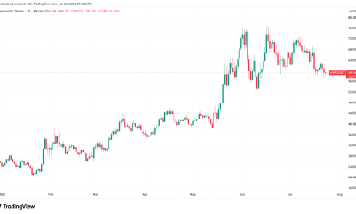 Bitwise Exec Looks To Hyperliquid, Robinhood For Next Crypto Bull-Market Spark