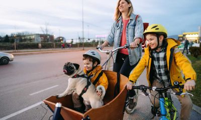 What went right this week: global road safety progress, plus more