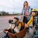 What went right this week: global road safety progress, plus more