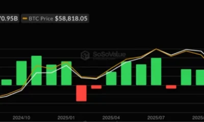 Bitcoin spot ETF net inflow, source: SoSoValue