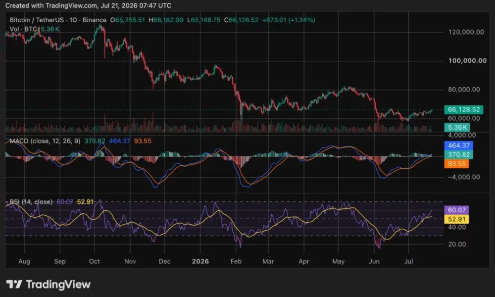 Bitcoin (BTC) price chart, source: crypto.news