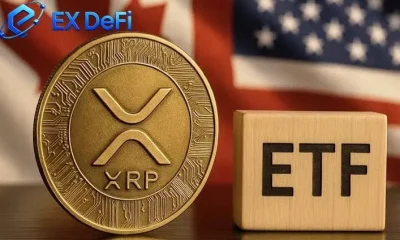 Forget Bitcoin; XRP holders could earn up to $7,000 per day after ETF inflows - 2