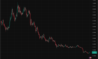 Cardano News: ADA Shorts Just Got Squeezed $857K in 24 Hours While Whale Wallets Hit an All-Time High, Is the Bottom Finally In?