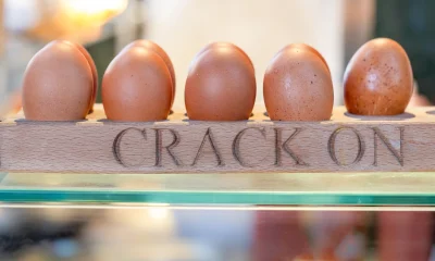 Vital Farms: This Egg Could Crack - Strong Sell (NASDAQ:VITL)
