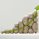 My Top 5 Dividend Picks For July