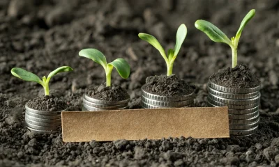 Thrivent Small Cap Growth Fund Q2 2026 Commentary