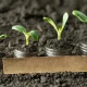Thrivent Small Cap Growth Fund Q2 2026 Commentary