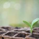 Amazon Stock: Growth Acceleration Sends A Huge Message (NASDAQ:AMZN)