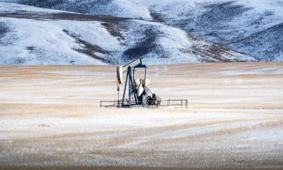 Canadian Natural Resources Stock: A Dividend Machine In A Volatile Oil Market (NYSE:CNQ)