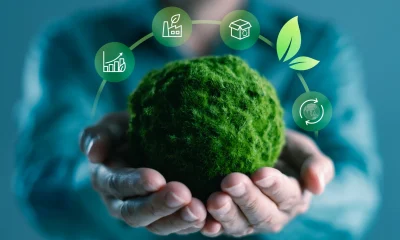 ClearBridge Sustainability Leaders Strategy Q2 2026 Commentary