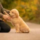 Chewy: Steady Growth And Undervalued
