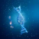 Silence Therapeutics: PV Data Could Wake The Stock (Initiating Buy) (NASDAQ:SLN)