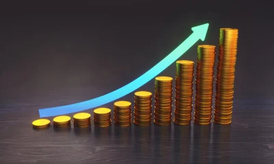 Broadening Earnings Growth, Broadening Opportunities