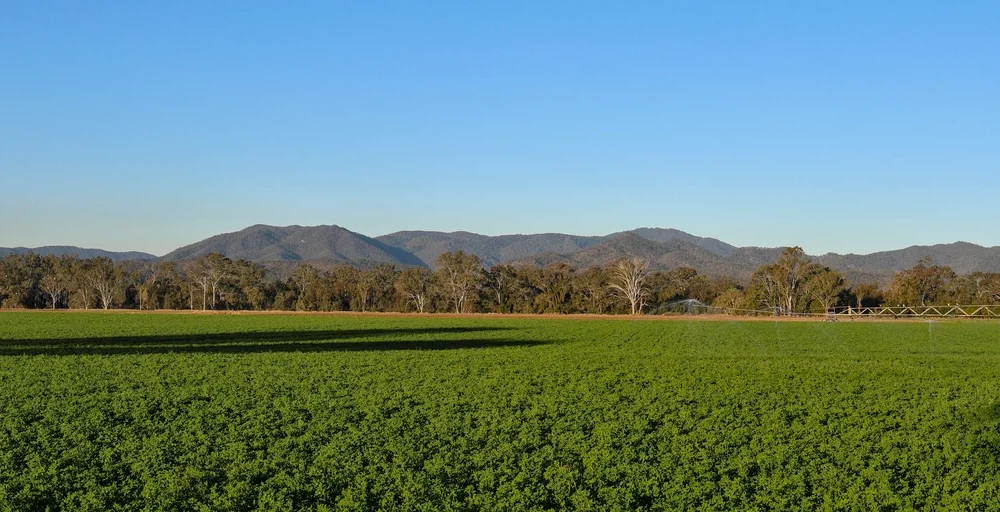 Gladstone Land: Why A Dividend Cut Is Likely (NASDAQ:LAND)