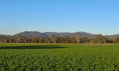 Gladstone Land: Why A Dividend Cut Is Likely (NASDAQ:LAND)