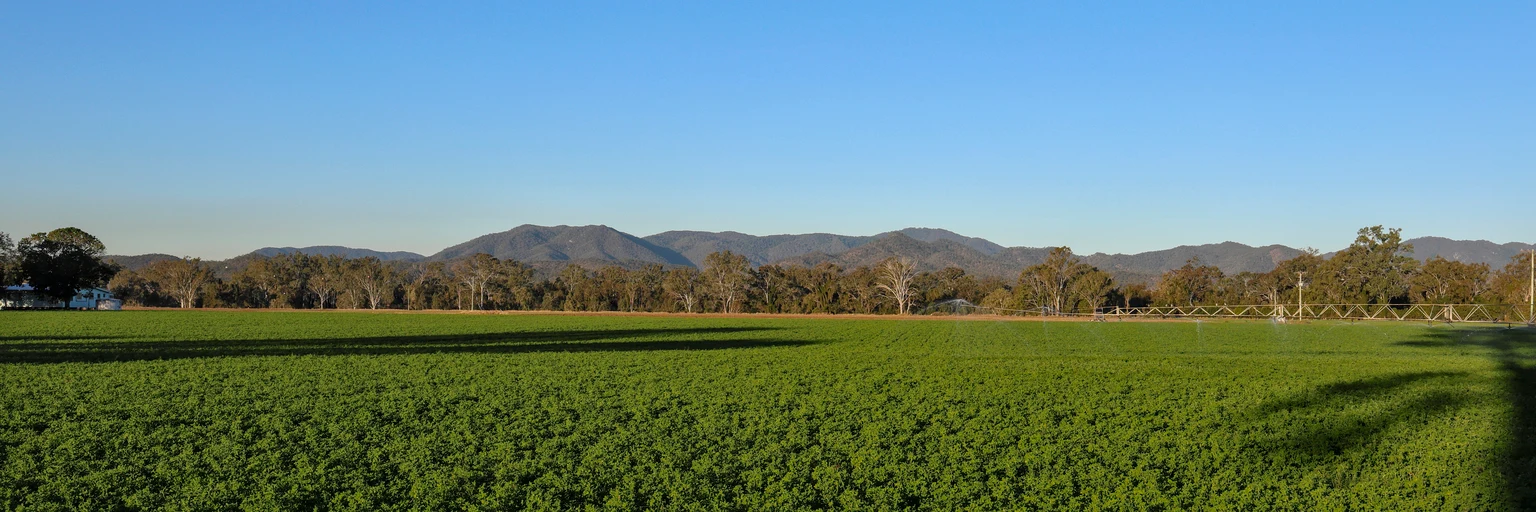 Gladstone Land: Why A Dividend Cut Is Likely (NASDAQ:LAND)