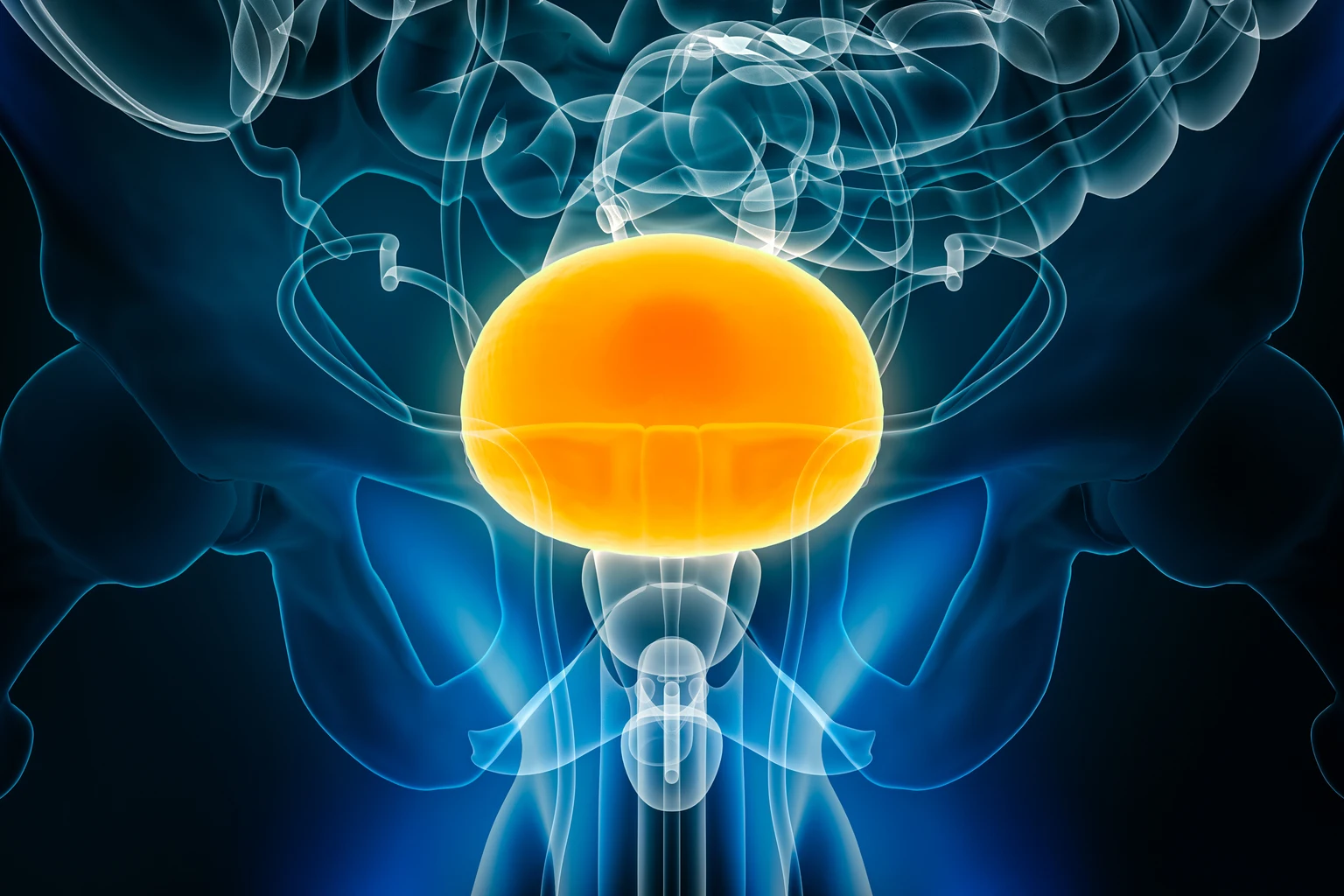 CG Oncology Stock: Priced To Perfection On Future Pipeline Success (NASDAQ:CGON)