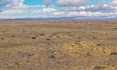 Cerrado Gold: Future Looks Bright, But Wait For Upside (OTCMKTS:CRDOF)