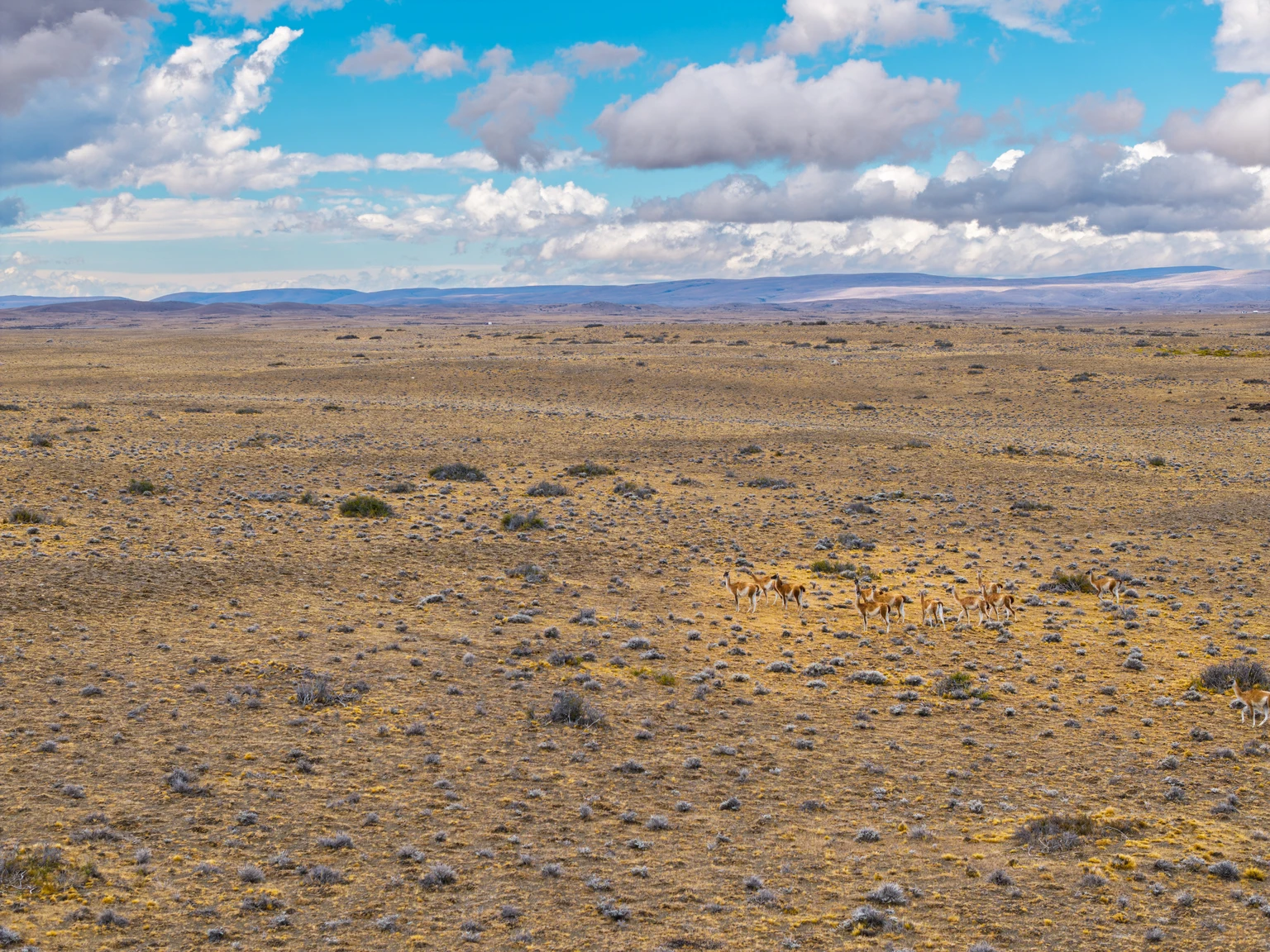 Cerrado Gold: Future Looks Bright, But Wait For Upside (OTCMKTS:CRDOF)