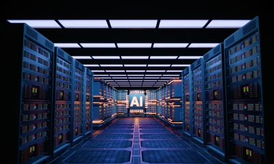 Above The Noise: Look Beyond AI Pullback