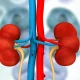 Arcus: 'Buy' On Casdatifan Late-Stage CcRCC Advancement And 1st-Line Expansions