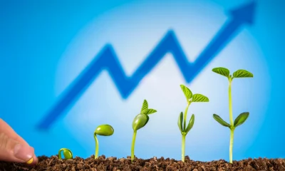Driehaus Micro Cap Growth Strategy Q2 2026 Commentary