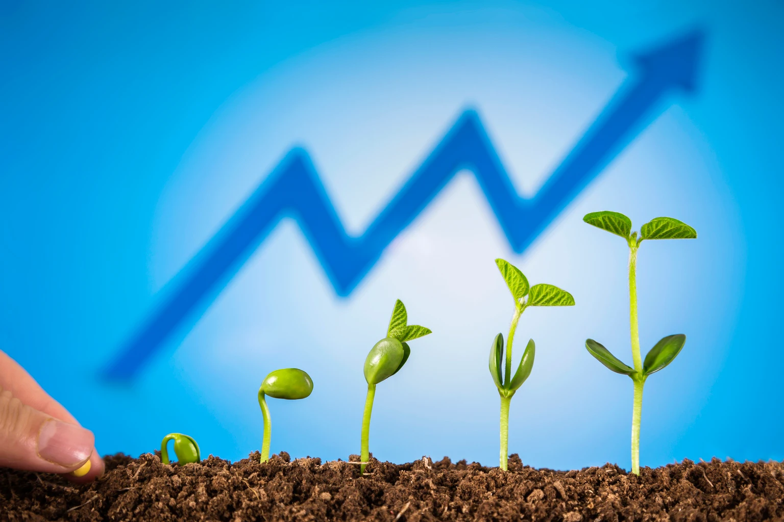 Driehaus Micro Cap Growth Strategy Q2 2026 Commentary