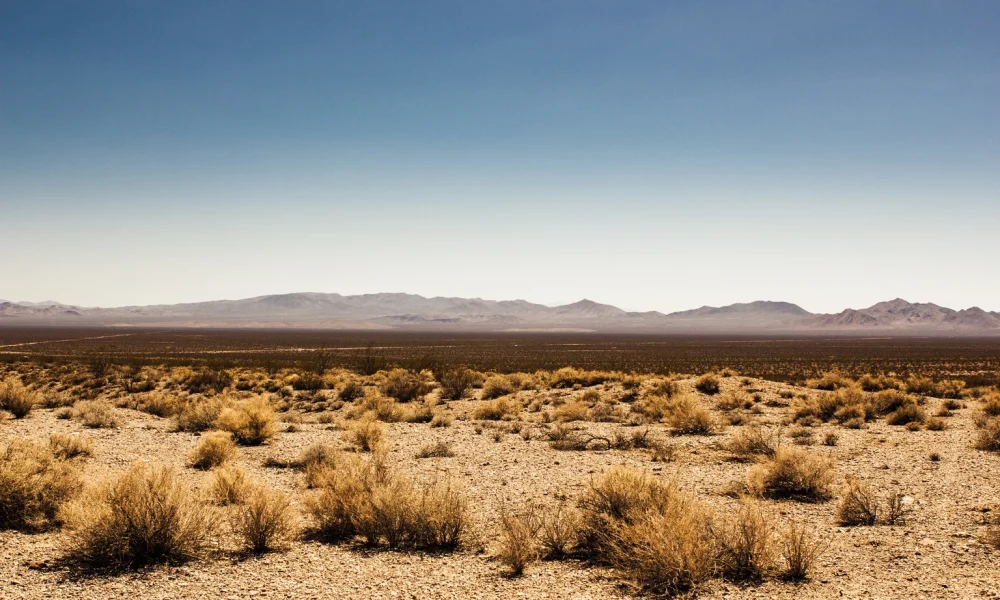 LandBridge & Texas Pacific Land: The Picks-And-Shovels Of The West Texas AI Boom