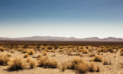 LandBridge & Texas Pacific Land: The Picks-And-Shovels Of The West Texas AI Boom