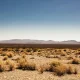 LandBridge & Texas Pacific Land: The Picks-And-Shovels Of The West Texas AI Boom