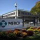 Neuren Pharmaceuticals Shares Surge 36% on Positive European Opinion for