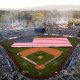 Cody Bellinger LA Dodgers