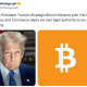 Trump’s Bitcoin Reserve Stalled By Interagency Clash: Report