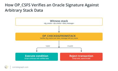 OP_CHECKSIGFROMSTACK and OP_CAT