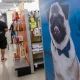 Tractor Supply to close 75 Petsense stores around the country