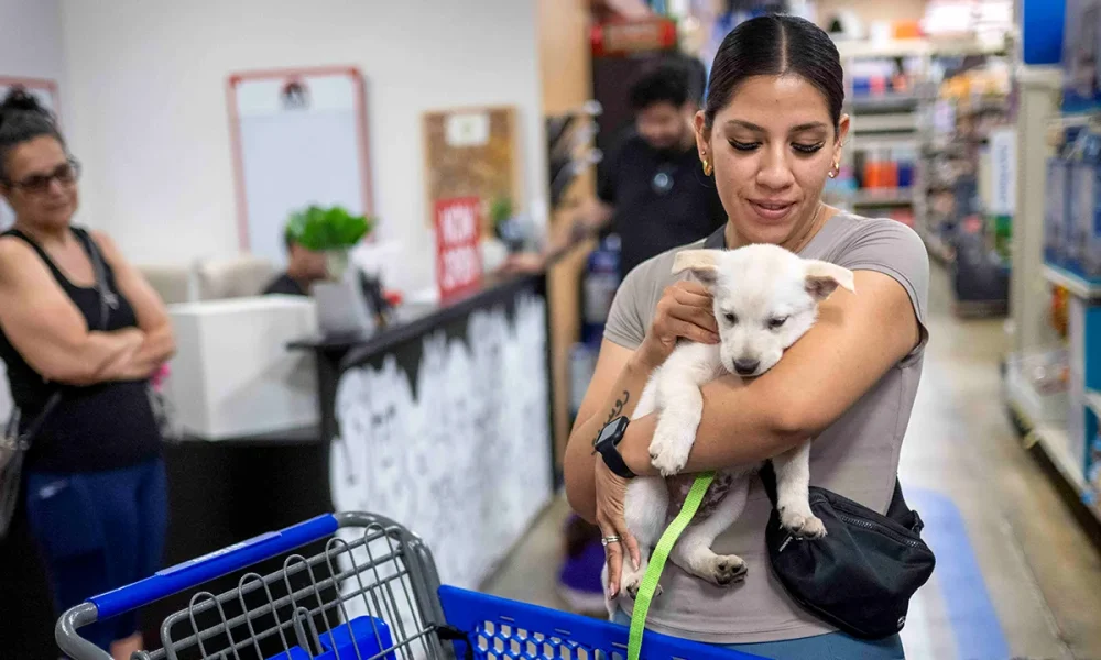 PetSmart closing its only San Francisco store, citing online shopping