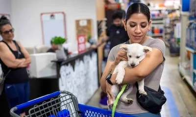 PetSmart closing its only San Francisco store, citing online shopping