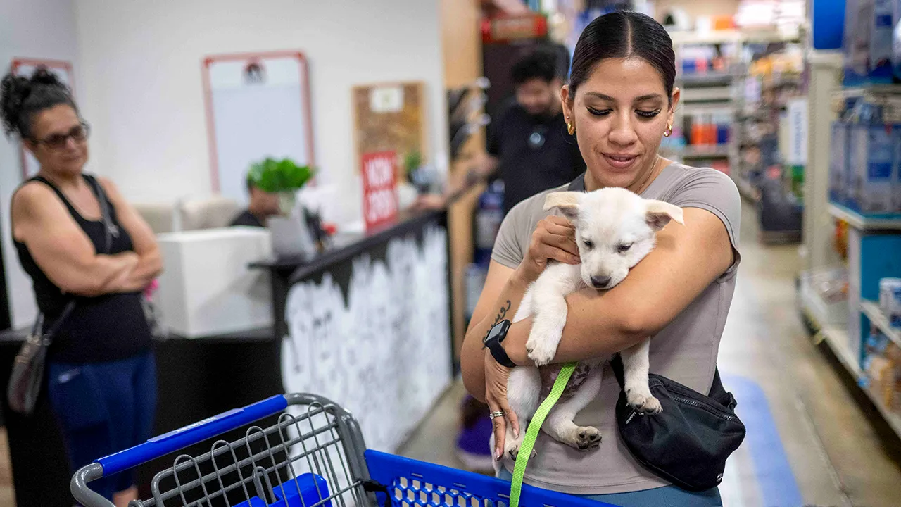 PetSmart closing its only San Francisco store, citing online shopping