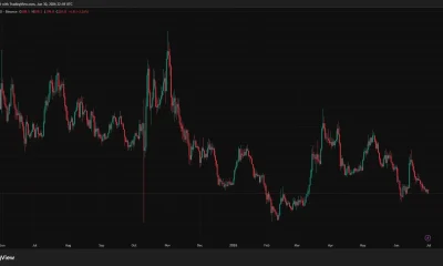 Bittensor and Render Already Had Their Nvidia Moment, Stargate LLM is the Next 1000x AI Crypto Opportunity